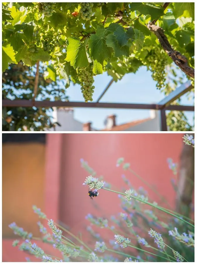 Appartement Apartmani Elio Pula Kroatië